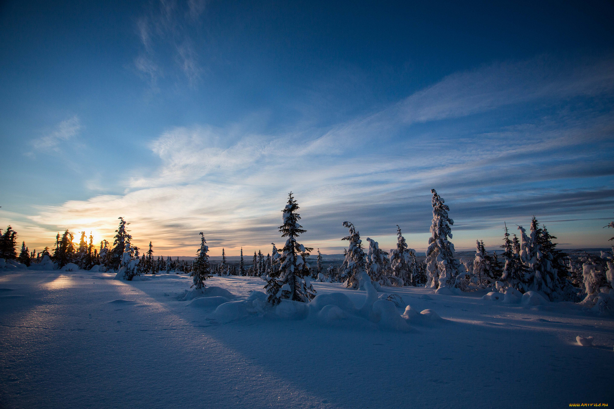 Winter wallpaper. Обои зима. Зима на рабочий стол. Фото на тему зима на рабочий стол. Зимний лес Югры.